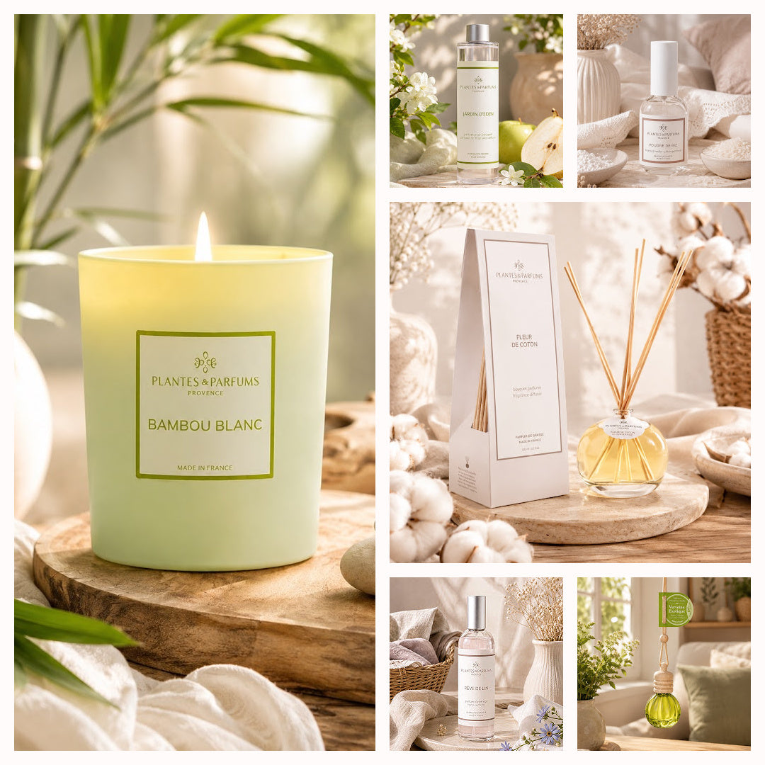 Montage photo de la collection de parfums d'ambiance comprenant une bougie parfumée au bambou blanc, un diffuseur à tiges fleur de coton, des sprays d'ambiance et un diffuseur d'huile essentiel à suspendre.
