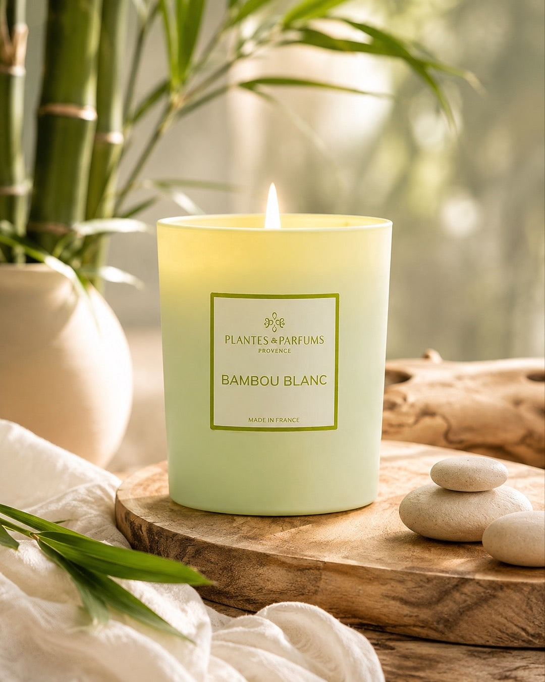 Bougie parfumée 180 g, fragrance Bambou blanc de Plantes & Parfums à la cire de soja dans un contenant en verre vert mat, ambiance frais.