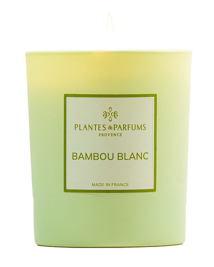 Bougie parfumée 180 g, fragrance Bambou blanc de Plantes & Parfums à la cire de soja dans un contenant en verre vert mat.