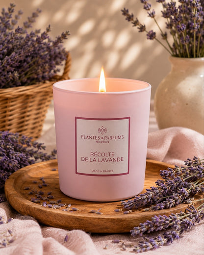 Bougie parfumée 180 g, fragrance Récolte de lavande de Plantes & Parfums à la cire de soja dans un contenant en verre rose mat, ambiance florale.