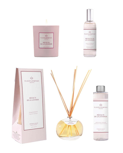 Collection complète Récolte de lavande de Plantes & Parfums. Bougie, parfum d'intérieur, bouquet parfumé et sa recharge.