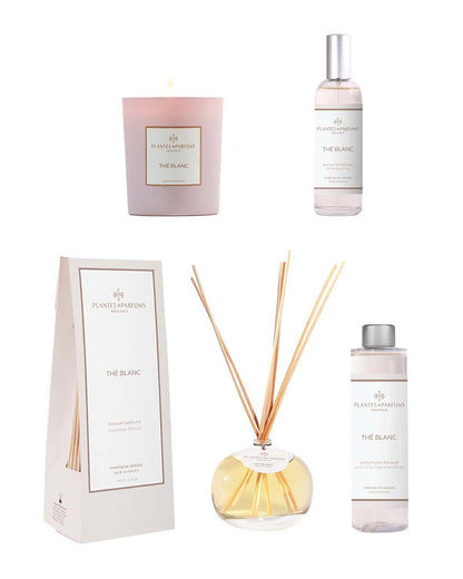 Collection complète Thé blanc de Plantes & Parfums. Bougie, parfum d'intérieur, bouquet parfumé et sa recharge.
